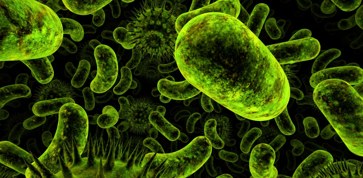 Evde En Çok Bakteri Üreten Yerler Nerelerdir?