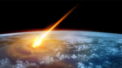 Atom Bombasından Sekiz Yüz Kat Daha Güçlü Asteroit!
