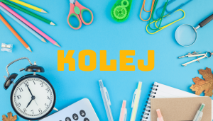 Özel Okul Seçerken Nelere Dikkat Edilmeli
